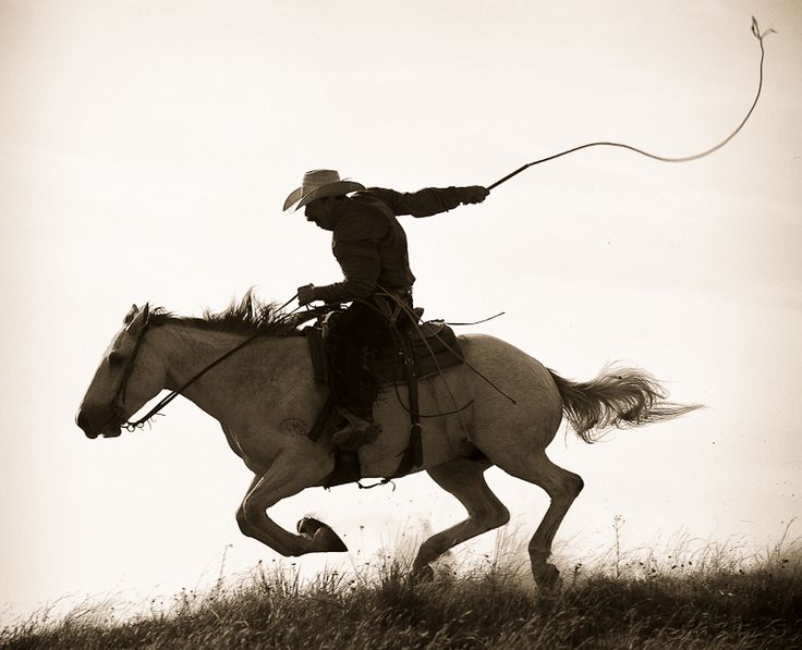<p><span>buck up</span></p>