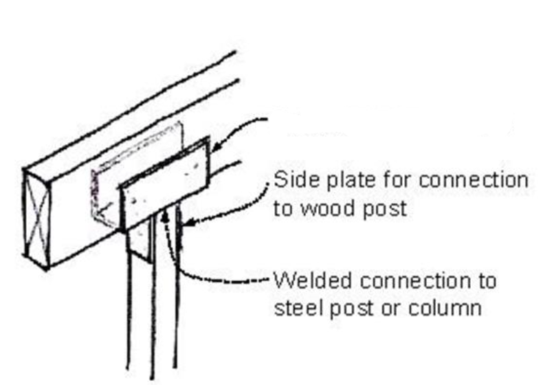 <p>Identify the arrow in the illustration.</p>