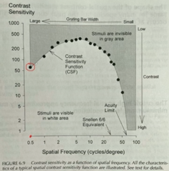 <p>When interpreting the circled point on the graph, it shows that at a frequency of 0.5, the subject was/was not able to see a stimulus at a contrast sensitivity of 200</p>