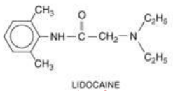 <p>Ester or Amide?</p>