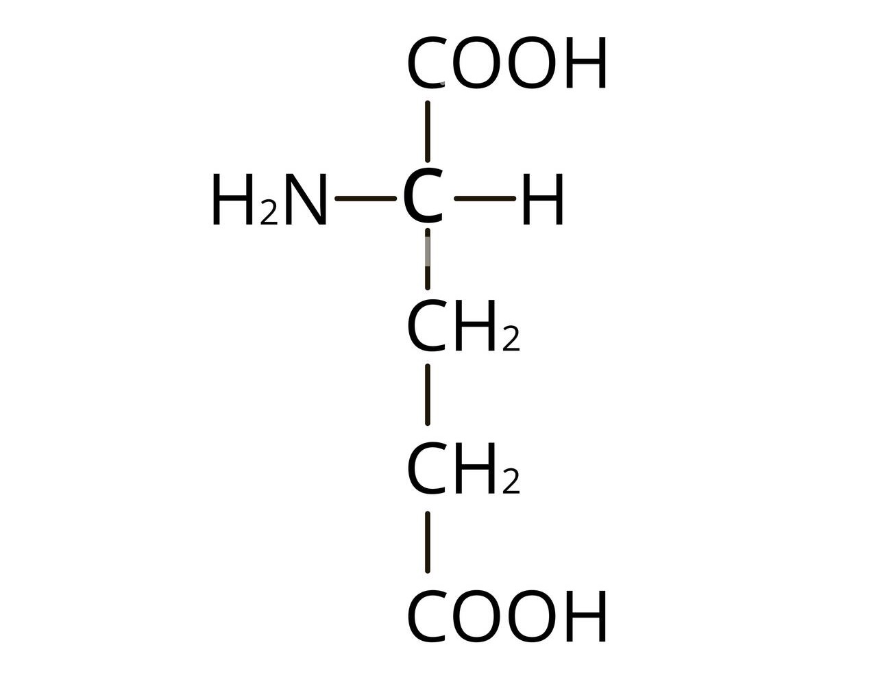 <p>name the following amino acid</p>