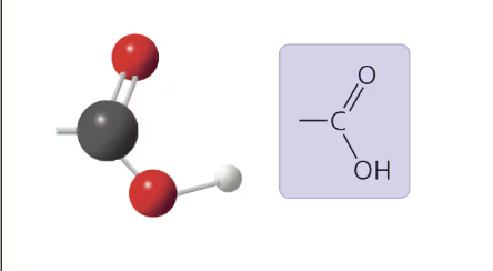 <p>___-C=O-OH. Carboxylic acid or organic acid</p>