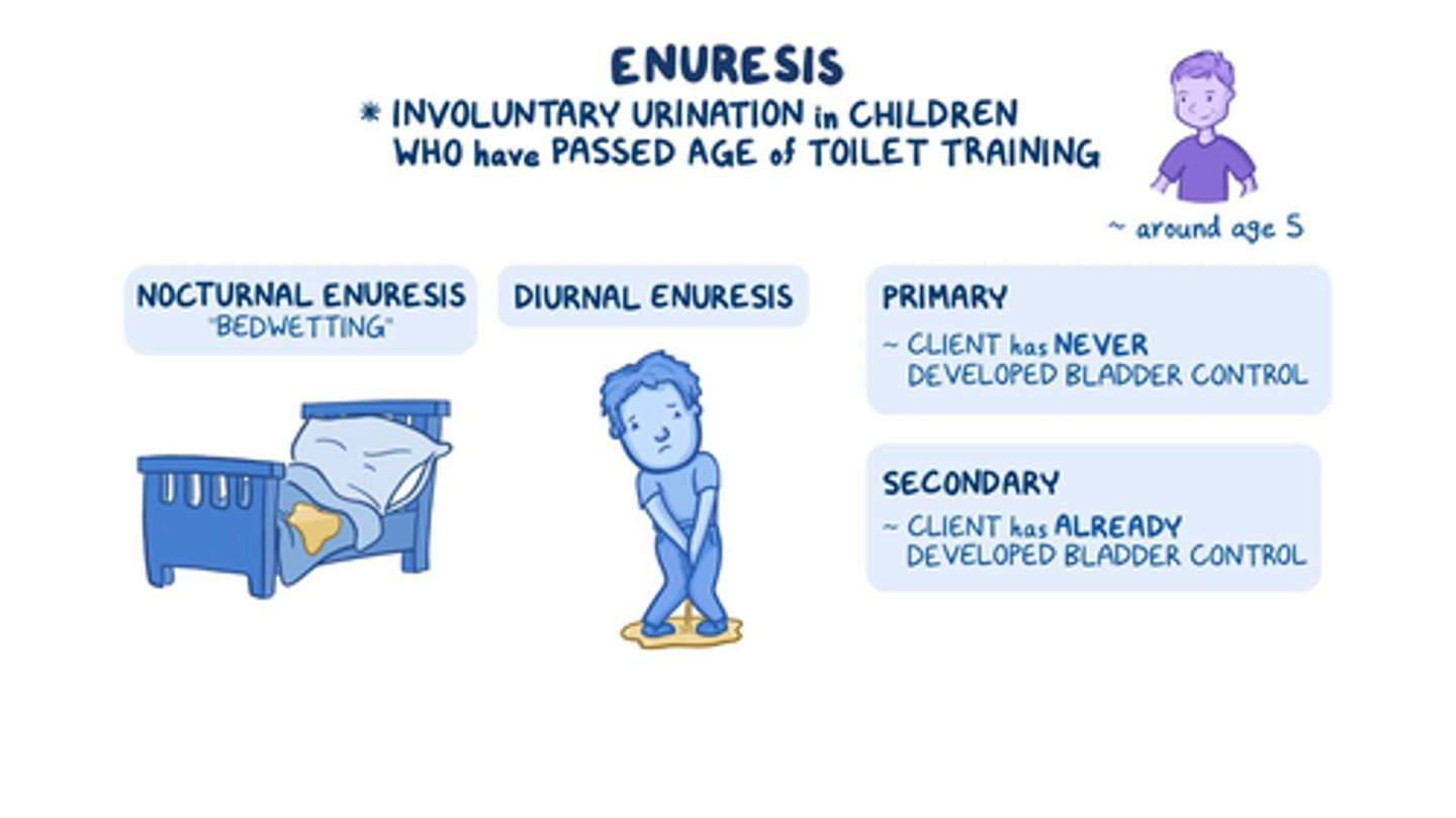 <p>B) Involuntary urination by a child over 4 years old</p>