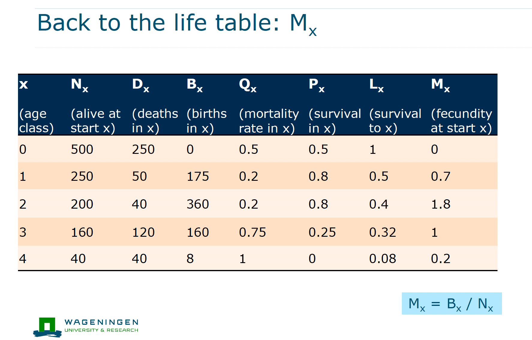 <p>mx (fecundity)</p>