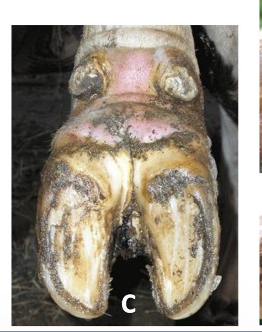 <p>what is this?</p>