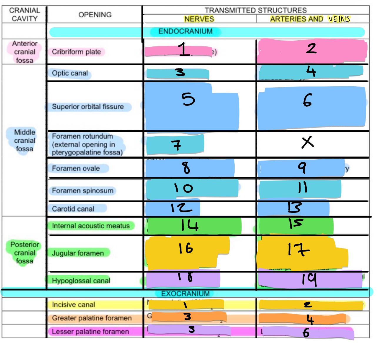 <p>ENDOCRANIUM </p><p>MIDDLE CRANIAL FOSSA </p><p>FORMAEN SPINOSUM </p><p>10 </p>