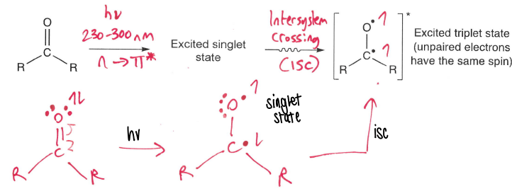 <p>They absorb at 230-300nm, promoting an electron from the n to pi* orbital and forming a singlet excited state. Isc then occurs forming the triplet state.</p>