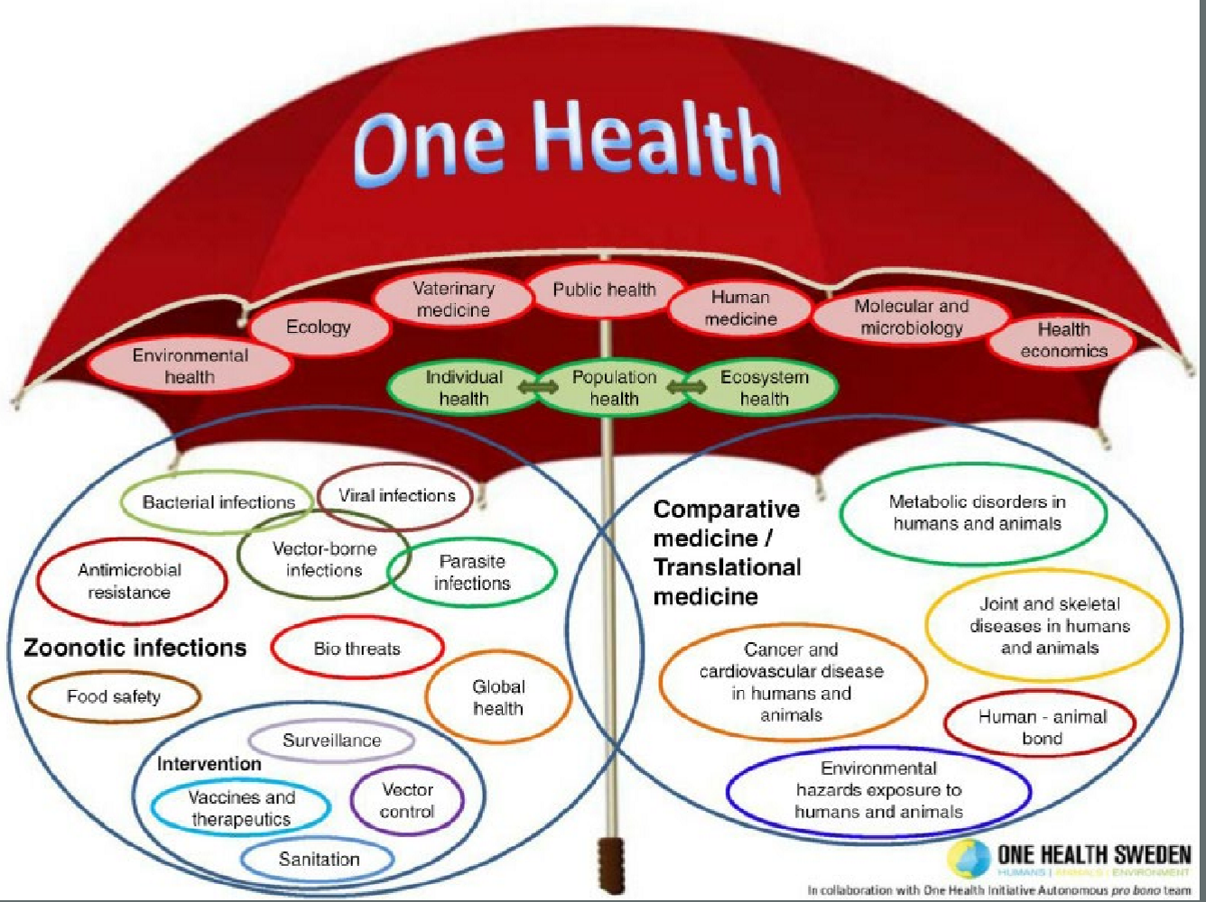 <p>it was a medical &amp; vet approach to control zoonotic diseases </p><p>.</p><p>a combo of HPAI outbreaks, globalization, &amp; closer human-ani interactions </p><p>.</p><p>this is the idea of studying disease progression in animals (e.g. cancer) &amp; applying it to human med</p>