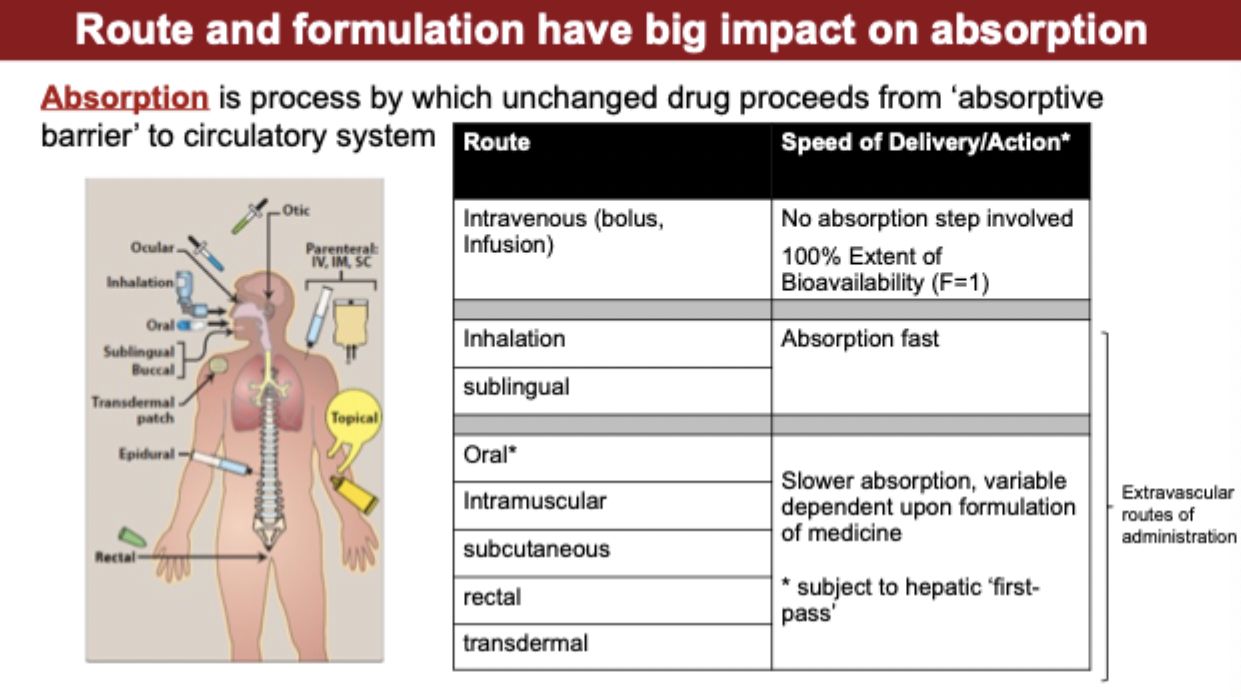 <p>speed of delivery/action in different routes</p>