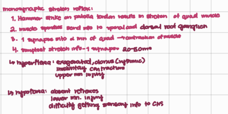 knowt flashcard image