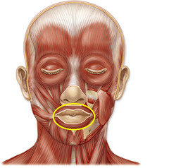 <p>closes and protrudes lips</p>