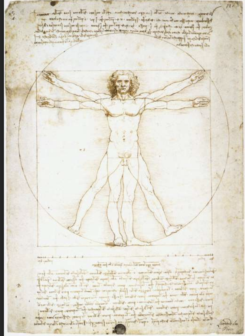 <p>Vitruvian Man</p>