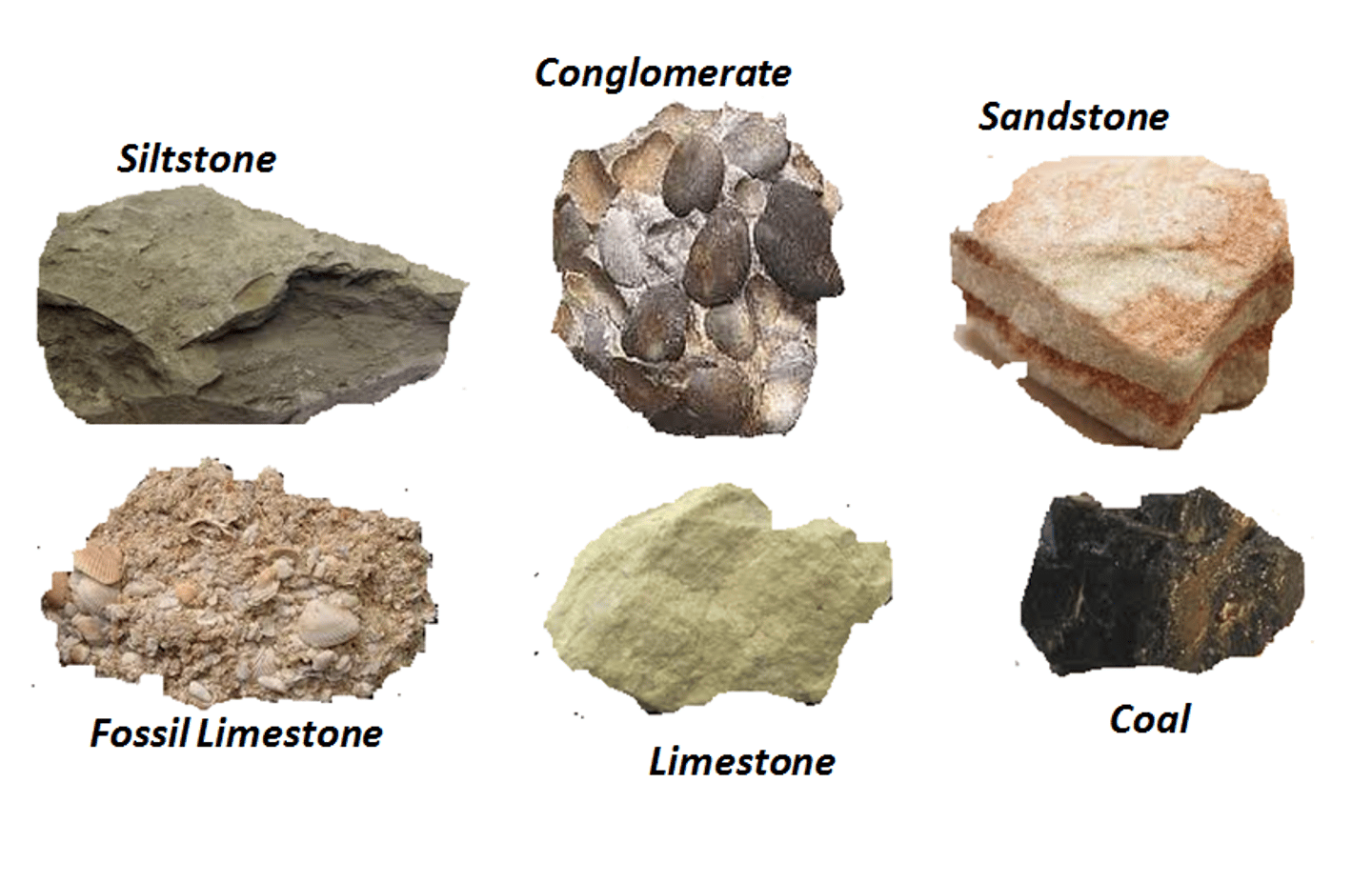 <p>sandstone, breccia, limestone, conglomerate, shale</p>
