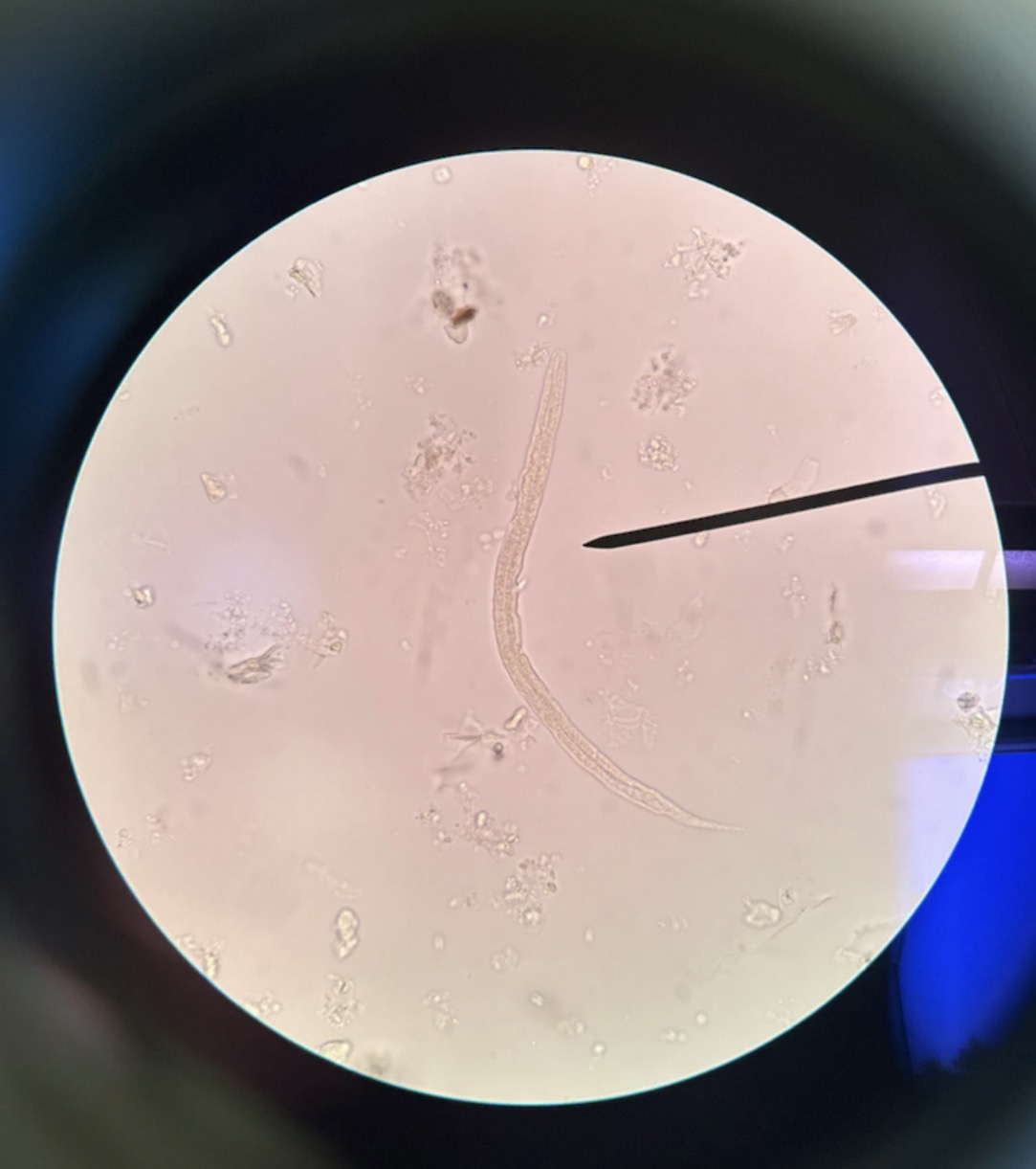 <p>What is this?</p>