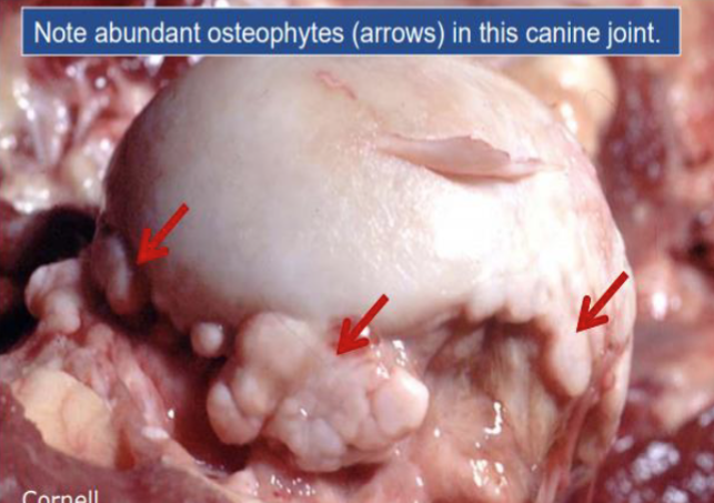 <p>what is this </p>