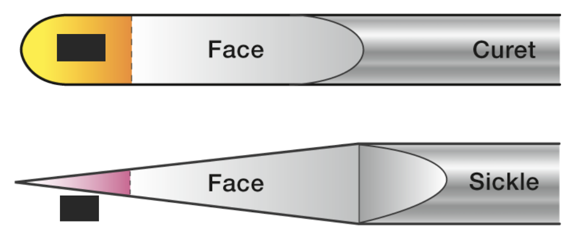 <p>which instrument has a tip and which has a toe?</p>