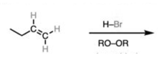 <p>Stereospecificity</p>