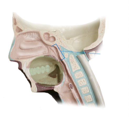 <p><span>Name the structure</span></p>