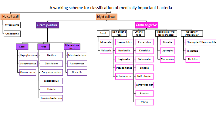 <p>- dont need to know now but need to know in future</p>
