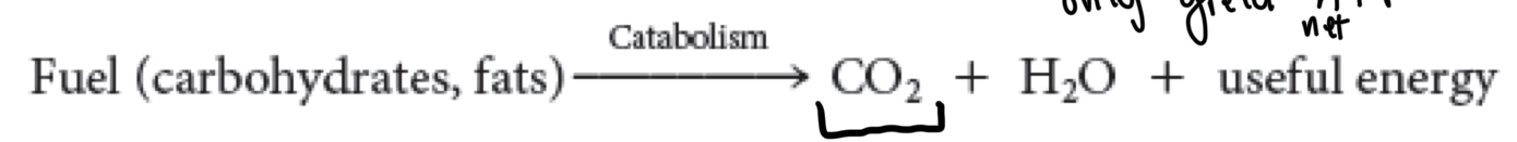 <p>reactions that involve the combustion of carbon fuels to make ATP  (aka breaking things down and usually at least yielding CO2)</p>
