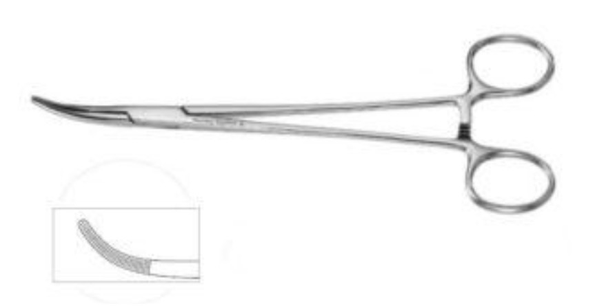 <p>What instrument is this</p><p>What category is it</p>