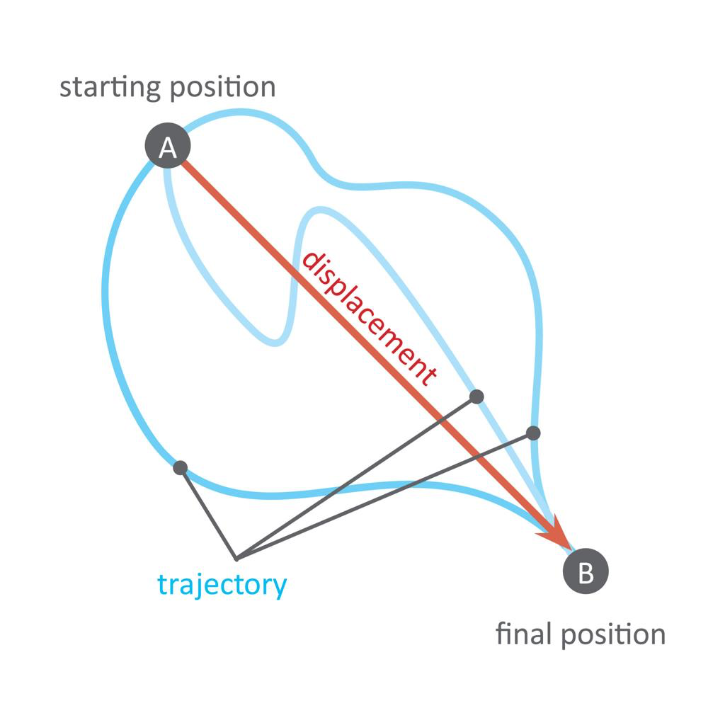 <p>(n) The curved path that an object follows as it moves through the air or space.</p>