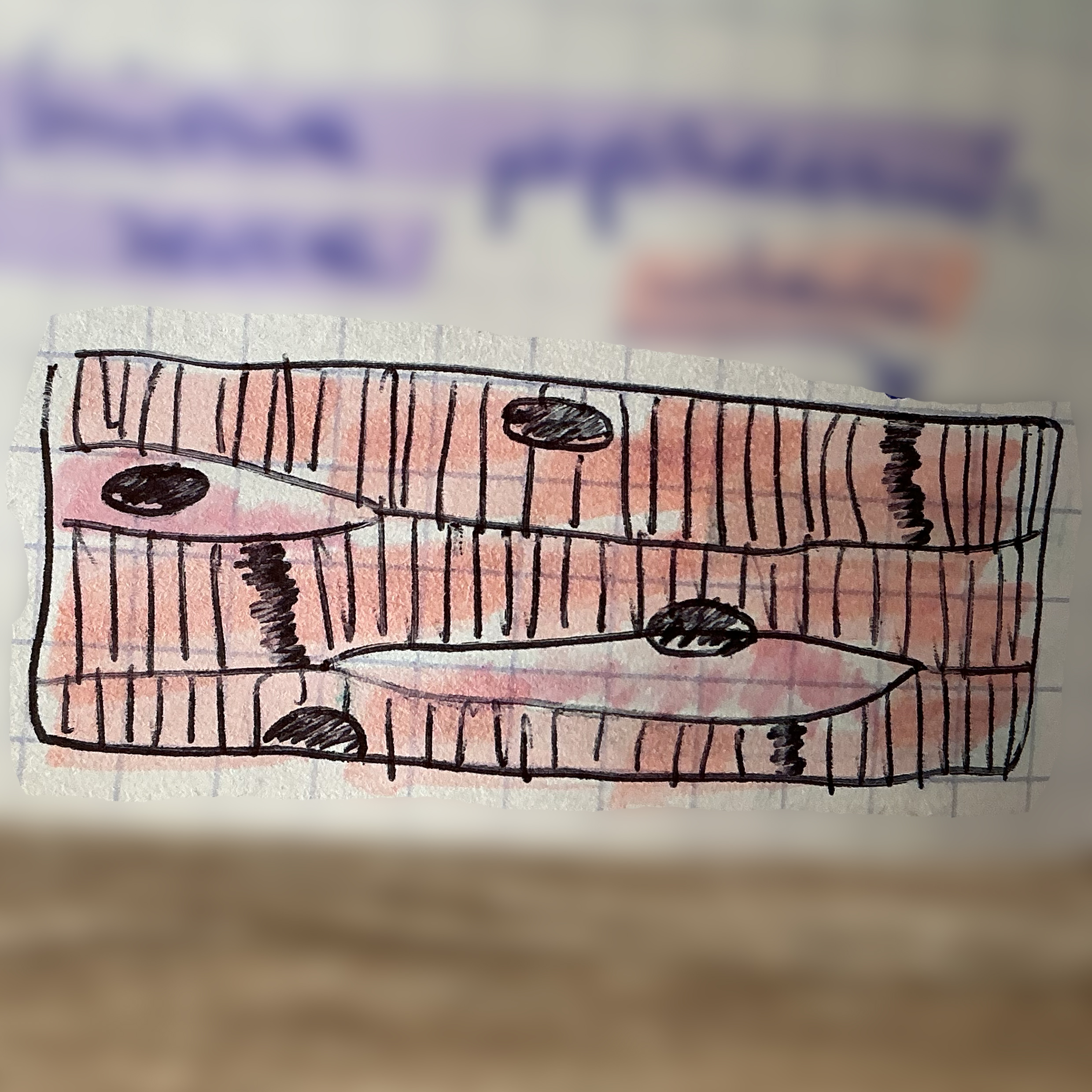 <p>jaka to tkanka?</p>