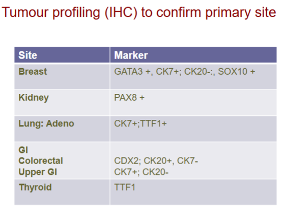 <p>Lung also has CK20</p>