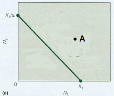 <p><span style="background-color: transparent;">Which vector correctly describes change in number of species 1 from point A?</span></p>