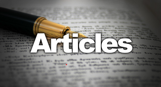 <p><strong>article</strong><span> (n)</span></p>