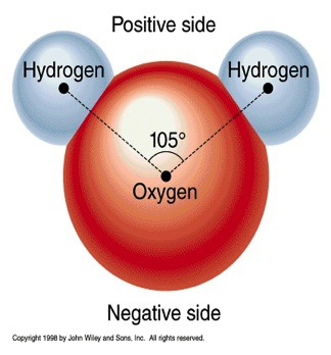 <p>A molecule that has opposite charges in different regions.</p>