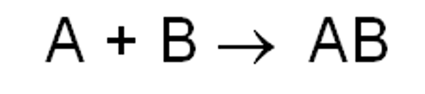 <p>A process where small molecules combine to form a larger molecule.</p>