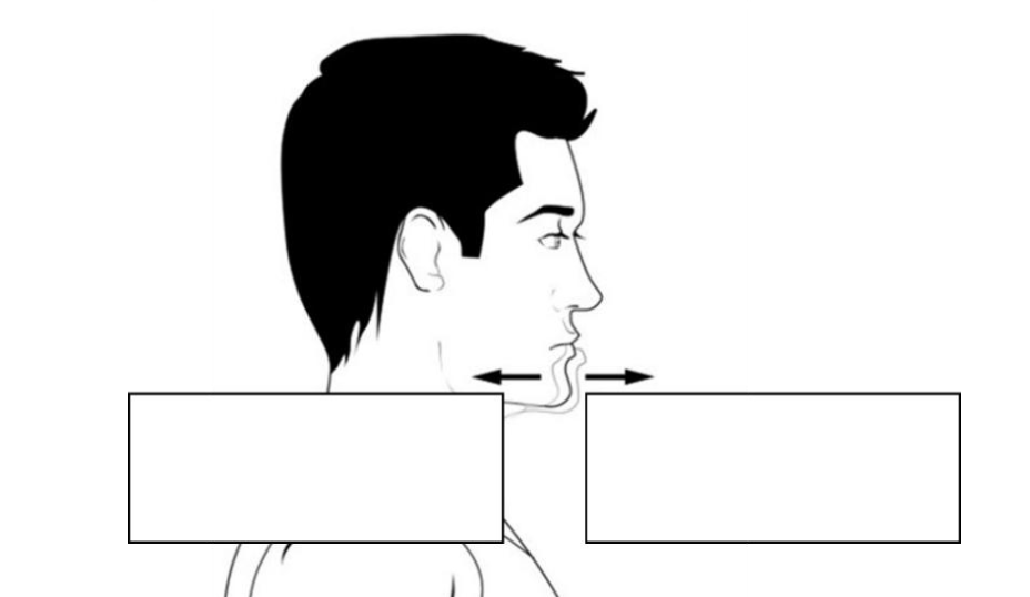 <p>what muscles are involved in this movement?</p>