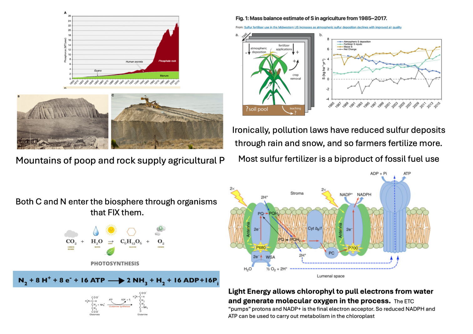<p>NCHOPS revisited:</p><ul><li><p>Mountains of poop and rock supply agricultural phosphorus (P)</p></li><li><p>Both carbon (C) and nitrogen (N) enter the biosphere through organisms that FIX them</p></li><li><p>Pollution laws have reduced sulfur (S) deposits through rain and snow, and so farmers fertilize with it more (most sulfur fertilizer is a byproduct of fossil fuel use).</p></li></ul><p></p>