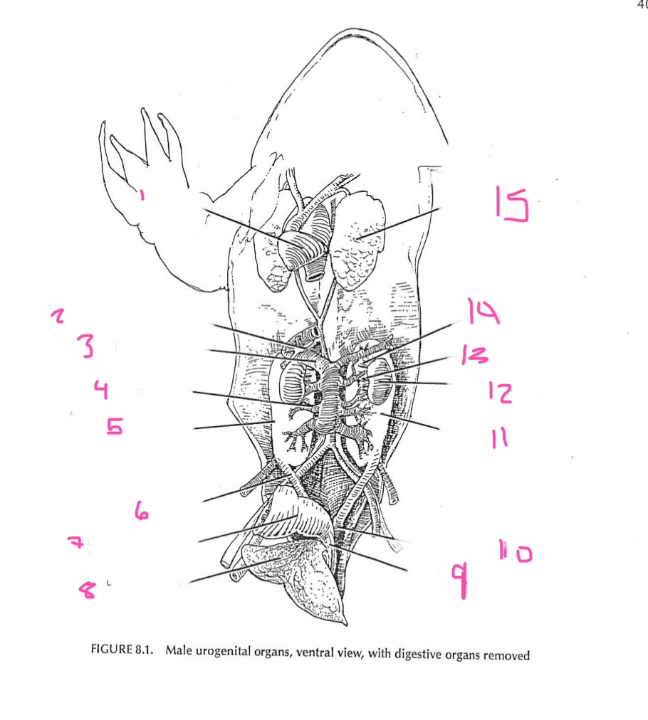 <p>3</p>