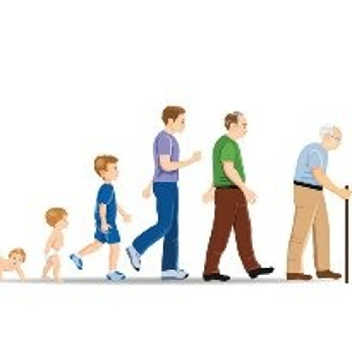 <p>TRANSLATION: средняя продолжительность жизни</p><p>DEFINITION: the average number of years a person in a certain group is expected to live</p><p>EXAMPLE: The discovery of antibiotics raised the ........................ by more than ten years. Открытие антибиотиков повысило СРЕДНЮЮ ПРОДОЛЖИТЕЛЬНОСТЬ ЖИЗНИ более чем на десять лет.</p>