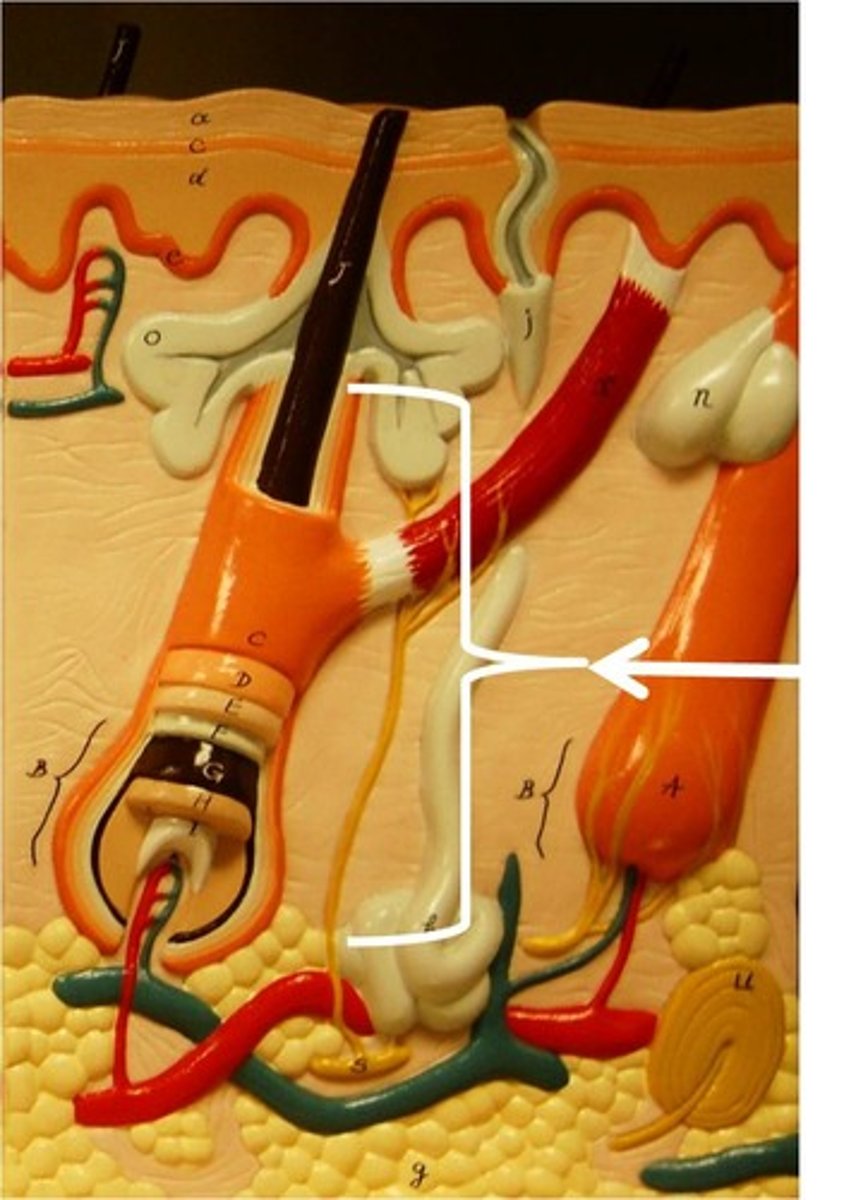 <p>type of structure?</p>
