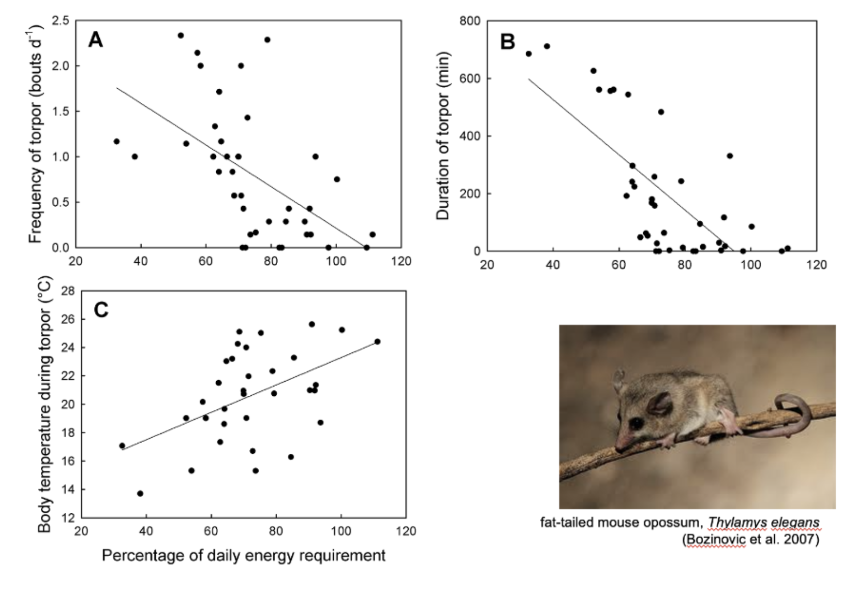 <p>Frequency - Decreases with more food intake</p><p>Duration - Decreases with more food intake</p><p>Body temp - Increases with more food intake</p>