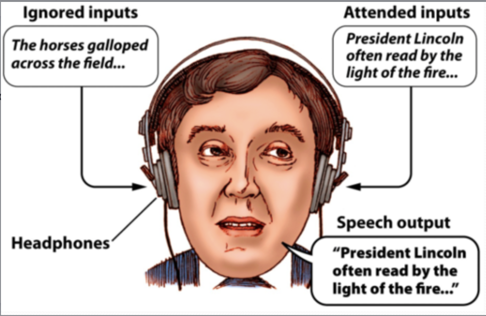 <p><span>Dichotic listening task, this took the study of selective auditory attention into the lab. p listen to two messages one presented in each ea. the task is to shadow (repeat back) one of the messages.</span></p>