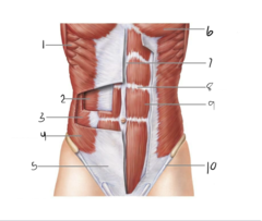 <p>4</p>