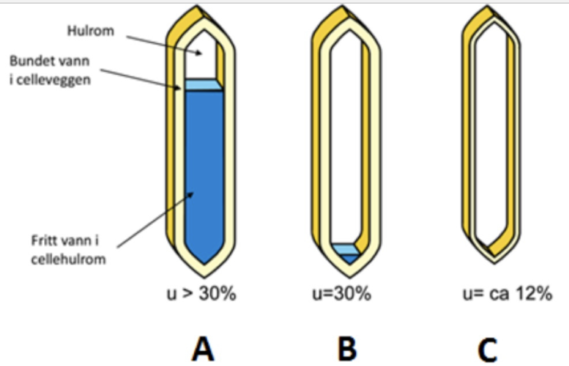 <p><strong>Hvilken figur viser fibermetningspunktet for tre?</strong></p><ol><li><p>A</p></li><li><p>B</p></li><li><p>C</p></li><li><p>Ingen</p></li></ol><p></p>