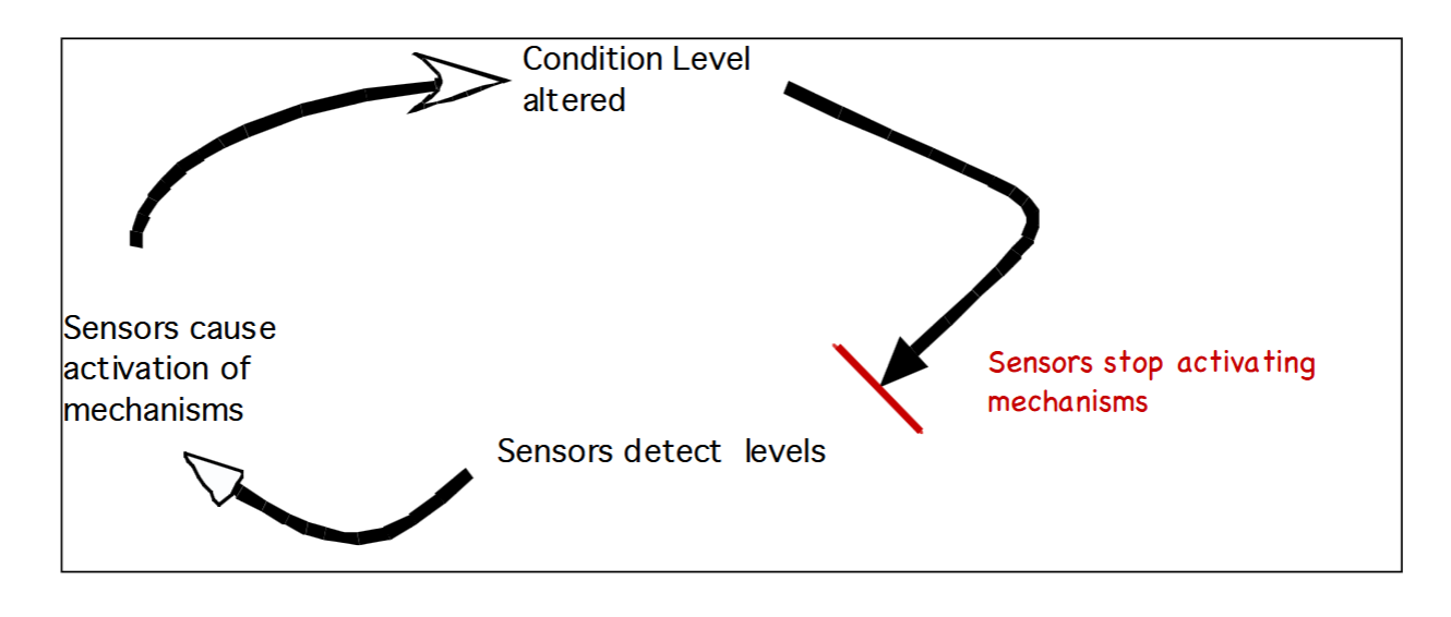 <p>Is the feedback loop for temperature negative or positive?</p>