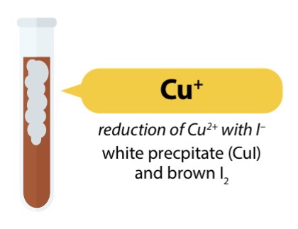 <ul><li><p>2CU2+ (aq) + 4I- → 2CuI (s) + I2 (aq)</p></li><li><p>Blue solution → white ppt + brown solution (offwhite)</p></li></ul><p></p>