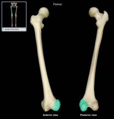 <p>Most injured due to location</p>