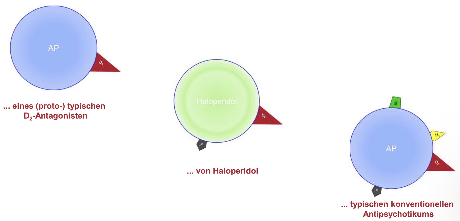 <p>1. Nach der Potenz</p><ul><li><p>Hochpotent = starke antipsychotische Wirkung, wenig Sedierung</p></li><li><p>Mittelpotent = mittlere Wirkung und Sedierung</p></li><li><p>Niederpotent = schwächere antipsychotische Wirkung, starke Sedierung</p></li></ul><p></p><ol start="2"><li><p>Nach Generation</p></li></ol><ul><li><p><strong>1. Generation (typische Antipsychotika)</strong></p><ul><li><p>z. B. Chlorpromazin, Haloperidol</p></li></ul></li><li><p><strong>2. Generation (atypische Antipsychotika)</strong></p><ul><li><p>z. B. Clozapin, Olanzapin, Quetiapin, Risperidon, Paliperidon, Aripiprazol, Cariprazin</p></li></ul></li></ul><p></p><ol start="3"><li><p>Atypische Eigenschaften</p></li></ol><ul><li><p>Atypische Antipsychotika (meist <strong>2. Generation</strong>) zeichnen sich laut Skript aus durch:</p><ul><li><p>weniger <strong>EPMS</strong> (extrapyramidalmotorische Störungen)</p></li><li><p>weniger <strong>Spätdyskinesien</strong></p></li><li><p>geringere <strong>Prolaktinerhöhung</strong></p></li><li><p>bessere Wirkung bei <strong>Negativsymptomen</strong></p></li><li><p>bessere Wirksamkeit bei <strong>therapieresistenter Schizophrenie</strong></p></li></ul></li></ul><p></p>