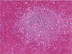 <p>What does this image show?</p>