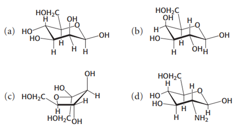 <p><span style="font-family: Aptos, sans-serif; line-height: 115%;">Identify the following four sugars</span></p>