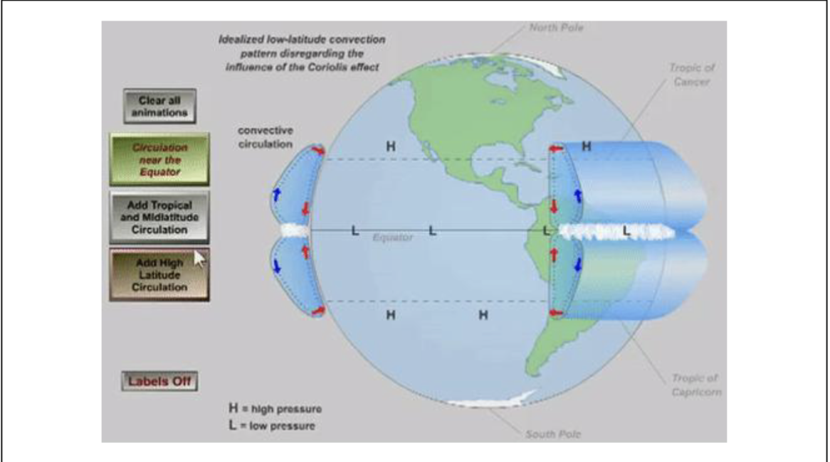 <ul><li><p>note that the “doldrums” occur at equator where the air is basically rising up because of intense heating</p></li><li><p>air rises to top of the troposphere (about 7 miles up)</p></li></ul><p></p>