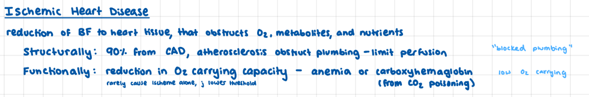 <p>structurally: CAD blcoked plumbing</p><p>functionally: reduce O2 carrying capacity: anemia or carboxyhemoglobin (ex from CO2 poisoning)</p>