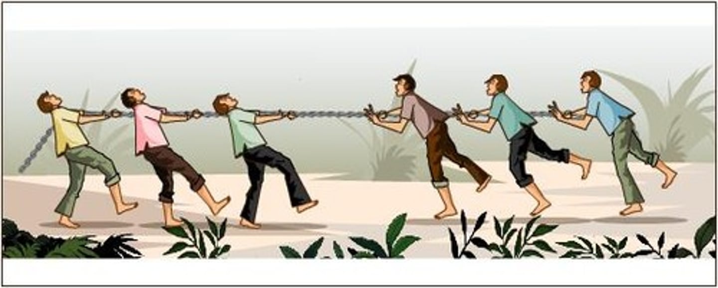 <p>ALWAYS cause a change in motion. They are NOT equal in size, but ARE opposite in direction and act on the same object.</p>